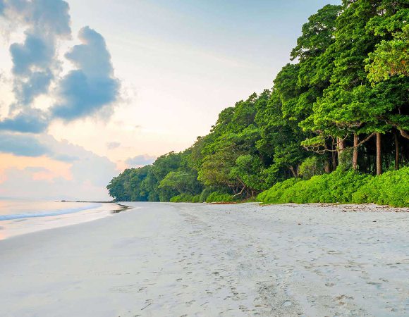 Exotic Andaman Package