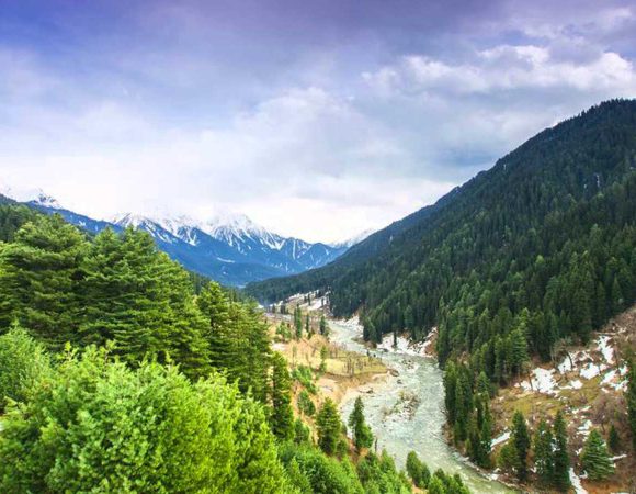 Honeymoon in Kashmir