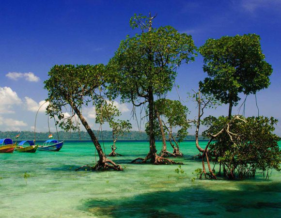 Best of Andaman