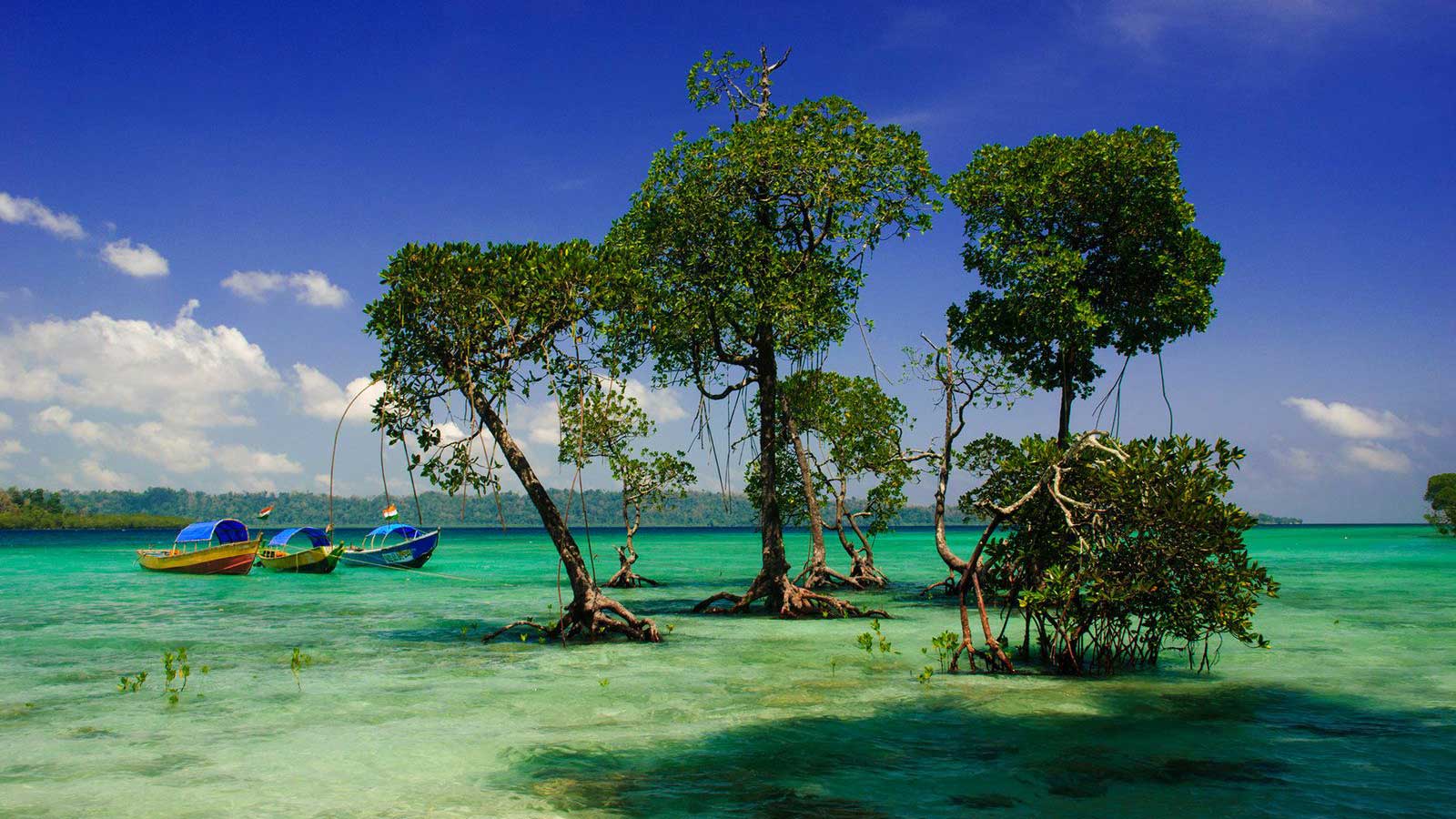 Best of Andaman