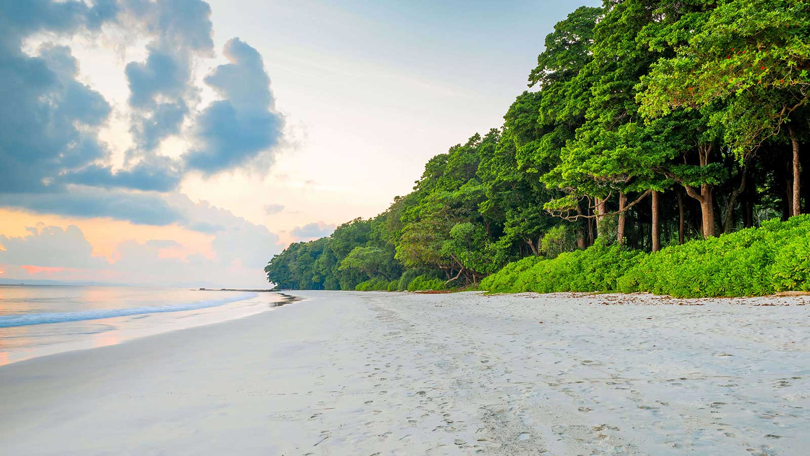 Exotic Andaman Package