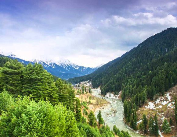 Best of Kashmir Tour Package