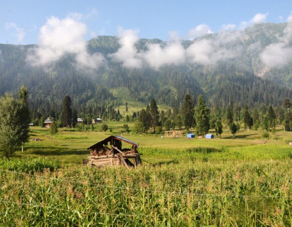 Srinagar Trip