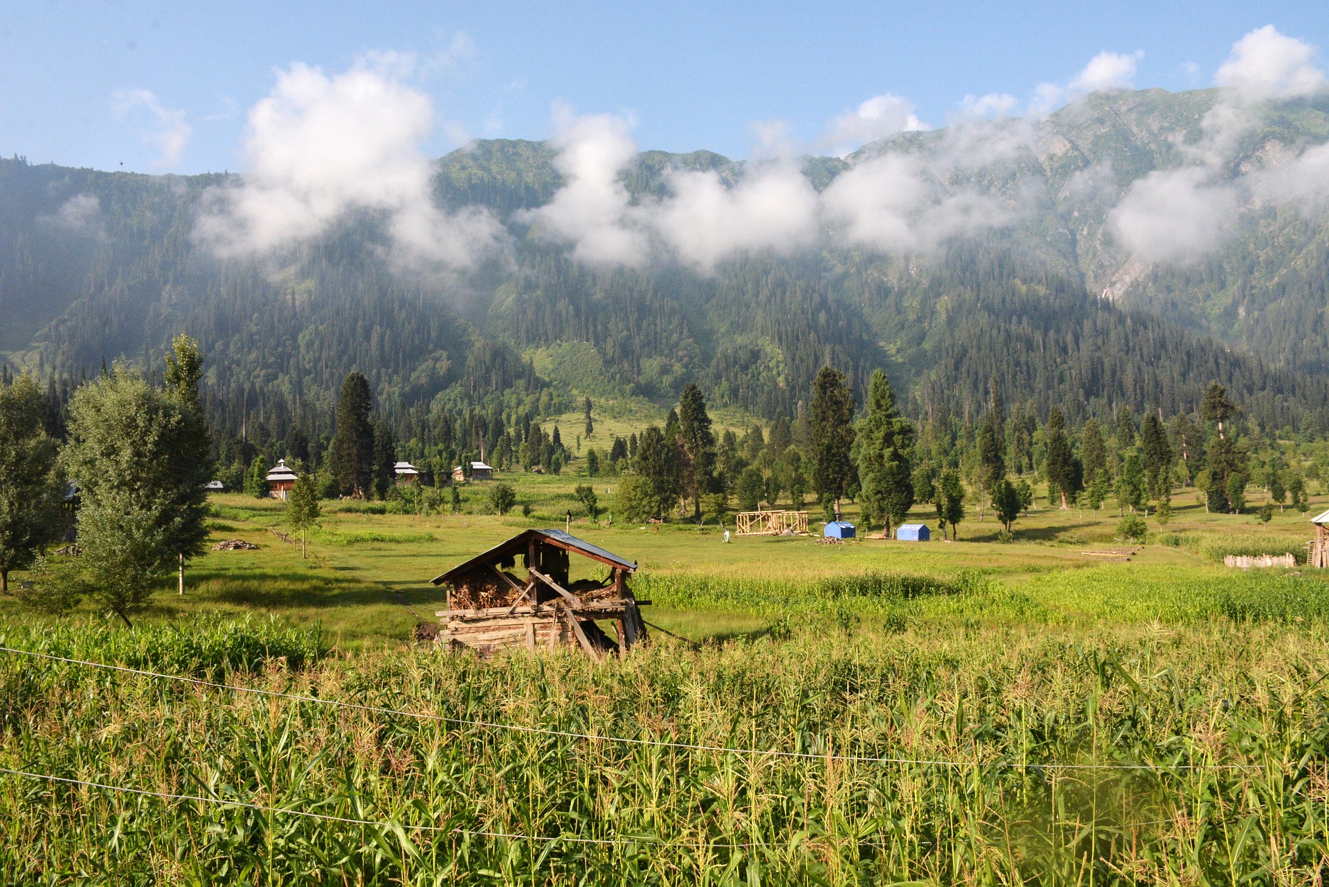 Srinagar Trip