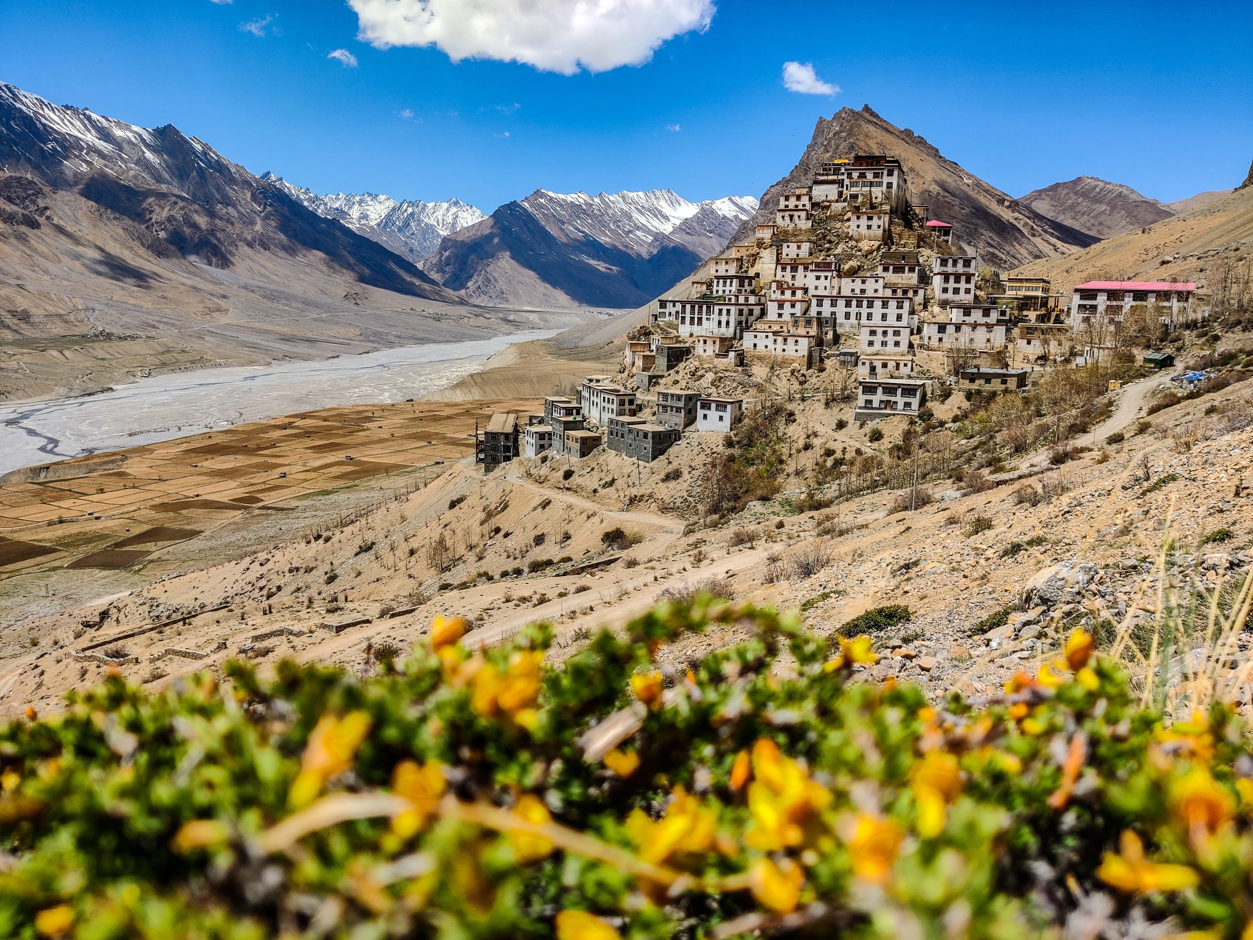 Explore Spiti With Group