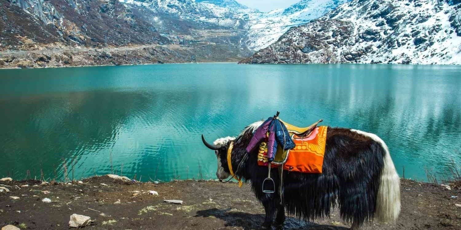 Gangtok Lachung Tour Package