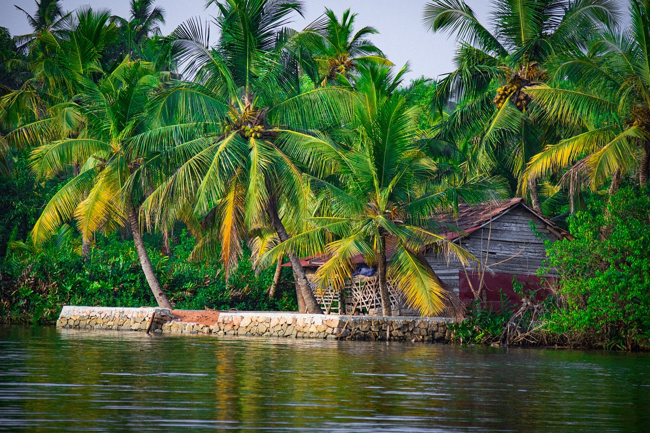 7N 8D Kerala Tour Package For Family