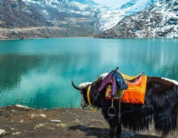 Gangtok Lachung Tour Package