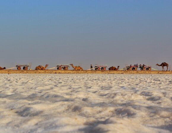 Pilgrimage Gujarat Temple Tour